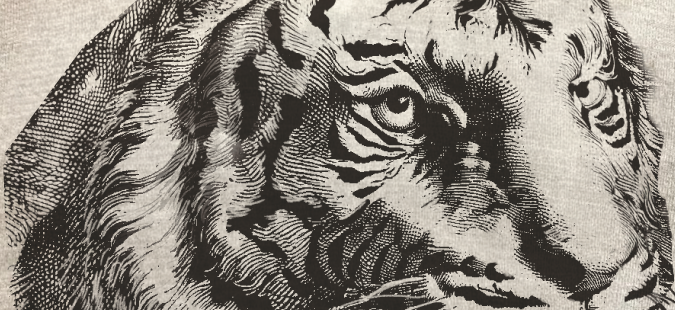 ARCANA TIGER スウェットのプリント拡大