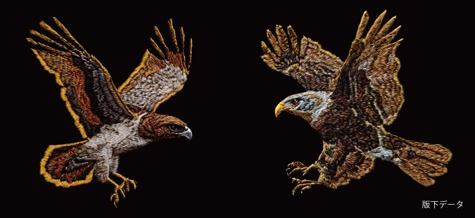 鷹の版下データ