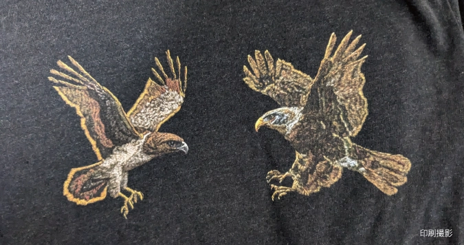 鷹の版下データで印刷したプリントを撮影